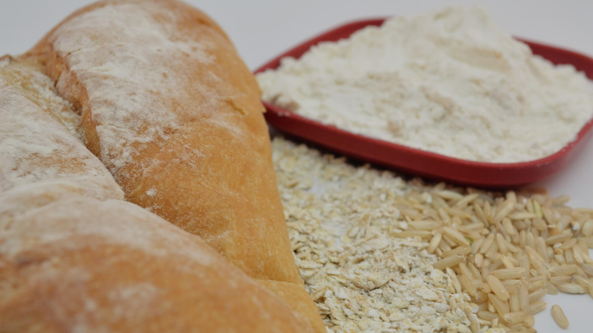 pan artesanal brizcas